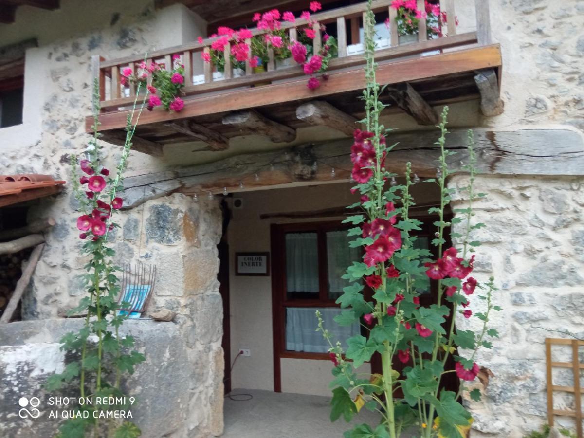 Belaustegi Turismo Rural Ispáster Екстериор снимка