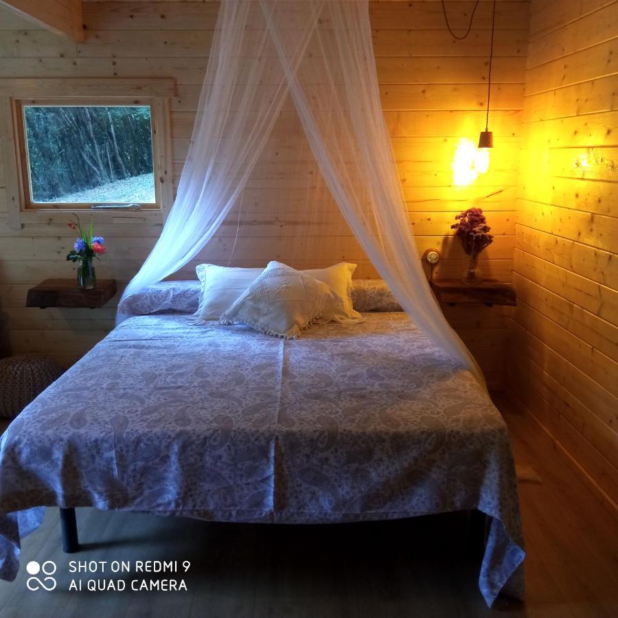 Belaustegi Turismo Rural Ispáster Екстериор снимка