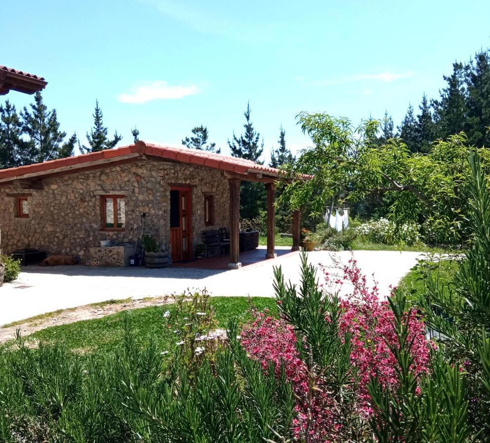 Belaustegi Turismo Rural Ispáster Екстериор снимка