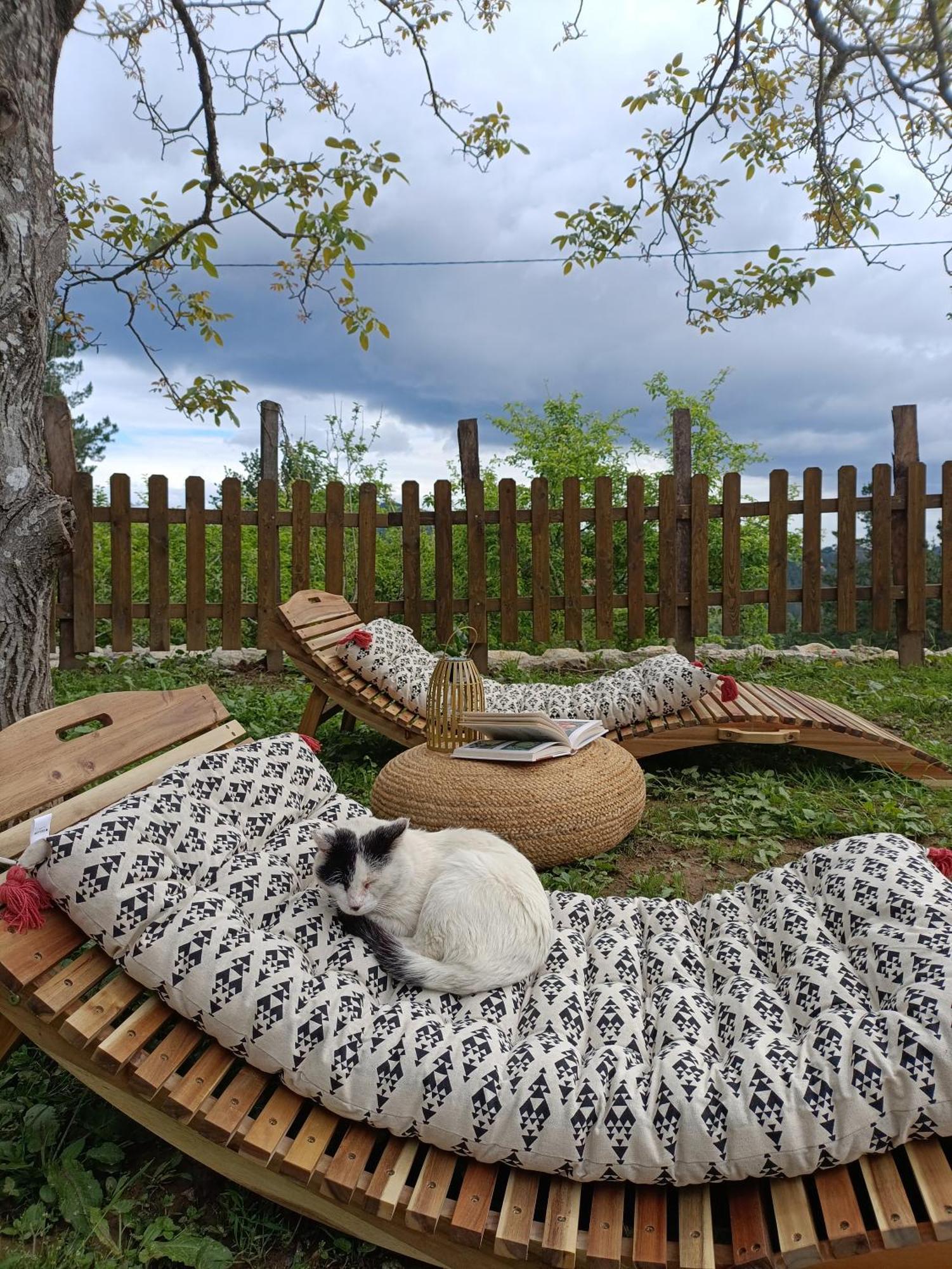 Belaustegi Turismo Rural Ispáster Екстериор снимка